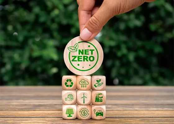 Environmental Leadership: