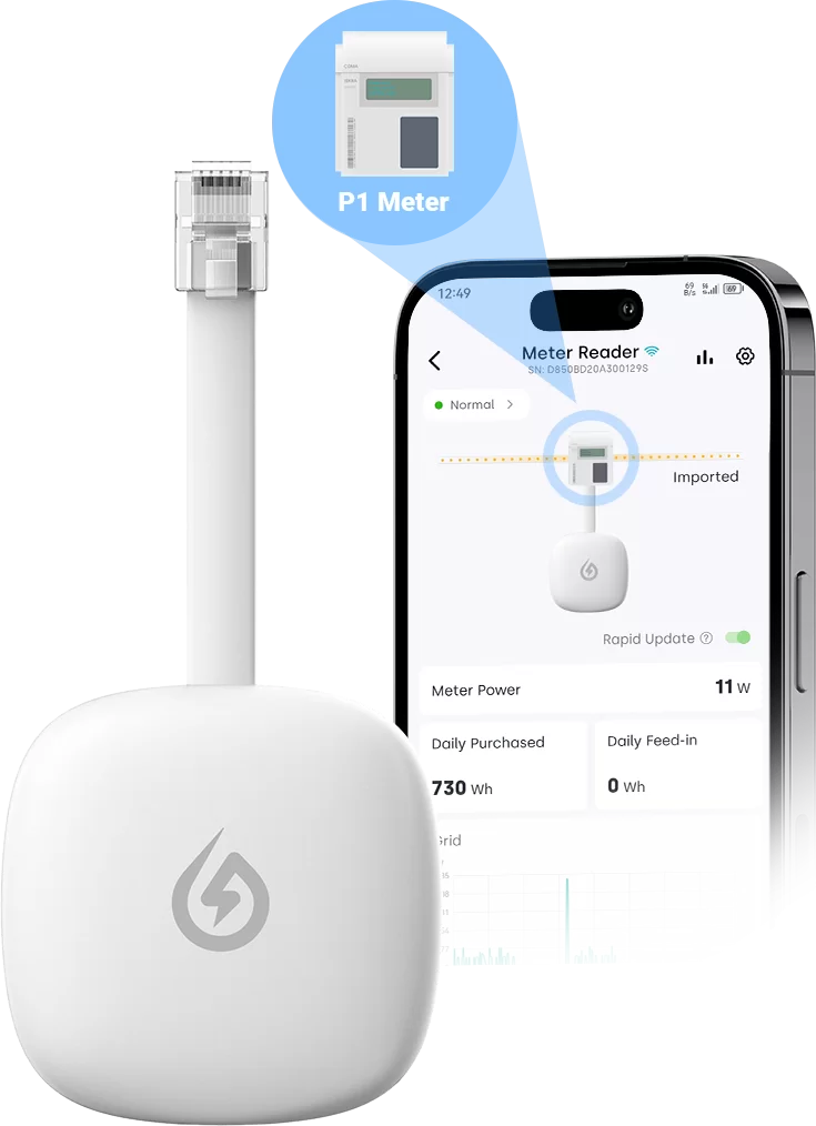 How to Install the P1 Meter Reader?
