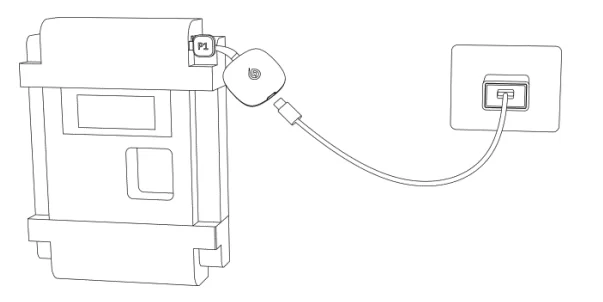 How to Use the P1 Meter Reader?