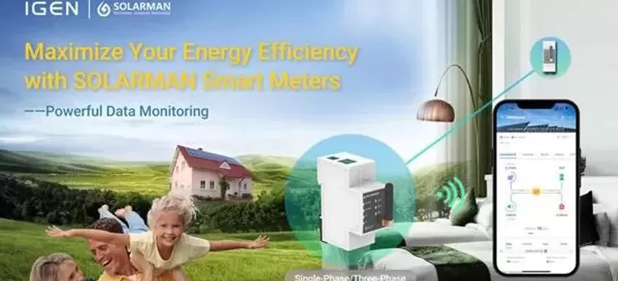 Smart Meters: the Future of Energy Management